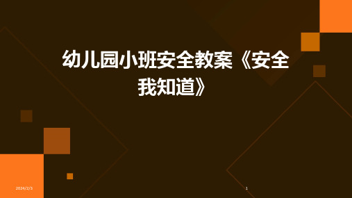 2024年度幼儿园小班安全教案《安全我知道》