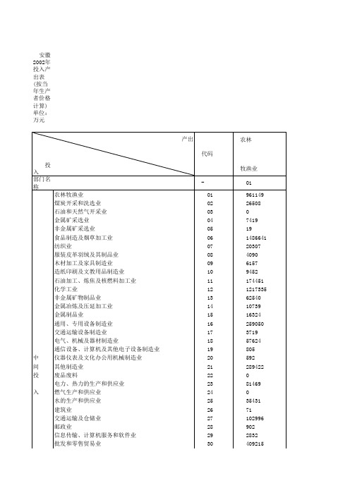 安徽2002年投入产出表