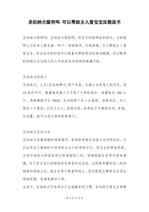 圣伯纳犬聪明吗 可以帮助主人看宝宝还能放羊
