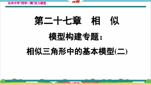 新人教部编版初中九年级数学模型构建专题：相似三角形中的基本模型(二)