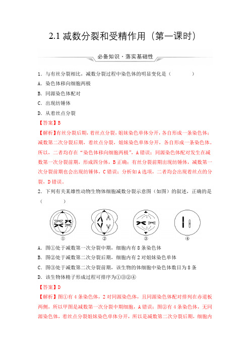 2-1 减数分裂和受精作用(第一课时)(分层作业)(解析版)