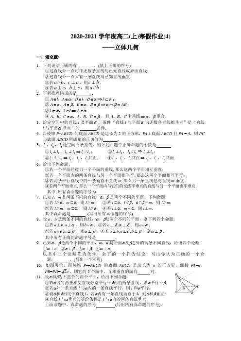 2021年新人教版高二数学寒假作业(4)立体几何