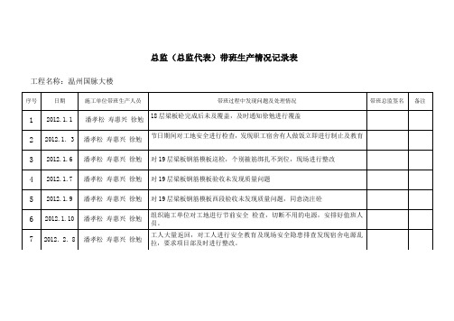 总监带班生产检查记录表