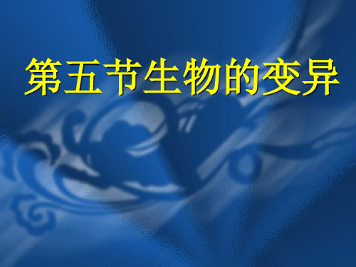 人教版生物八年级下册第七单元第二章第五节生物的变异 课件 (共11张PPT)