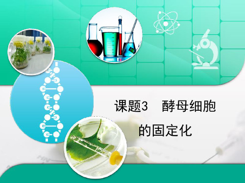 人教版高中生物选修1-4.3《酵母细胞的固定化》复习课件