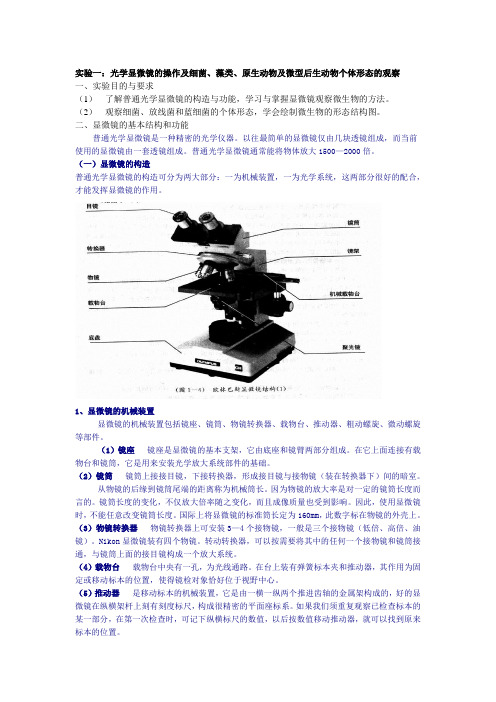 实验一光学显微镜的操作及真细菌藻类原生