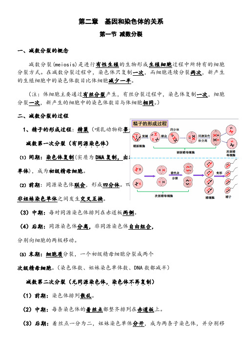 高中生物必修二-第二章-知识点总结