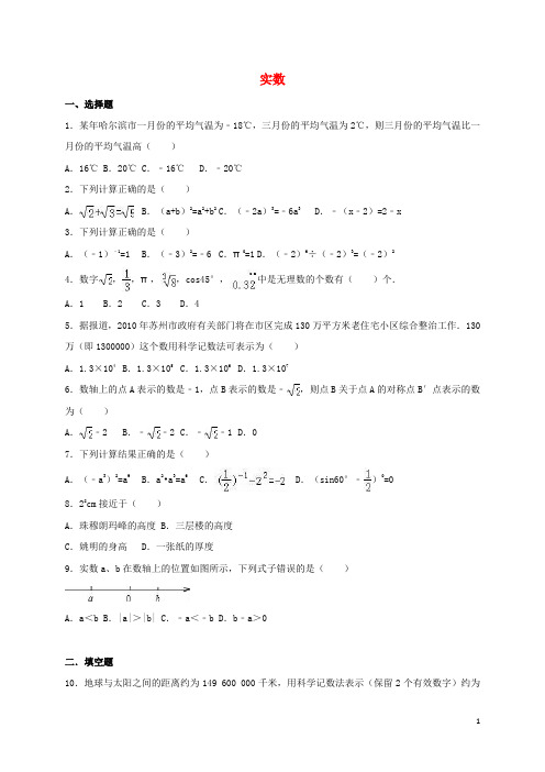 中考数学专题练习 实数(含解析)