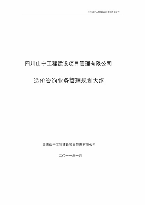 造价咨询业务管理规划大纲