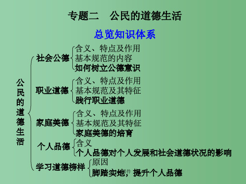 高三政治一轮复习 专题二 公民的道德生活 新人教选修6