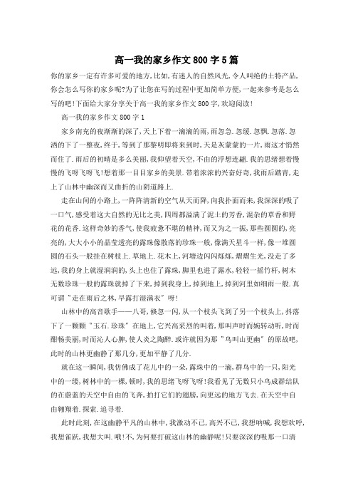 高一我的家乡作文800字5篇