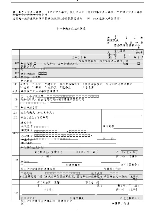 2019第四次经济普查-非一套表企业法人套表--排版文件