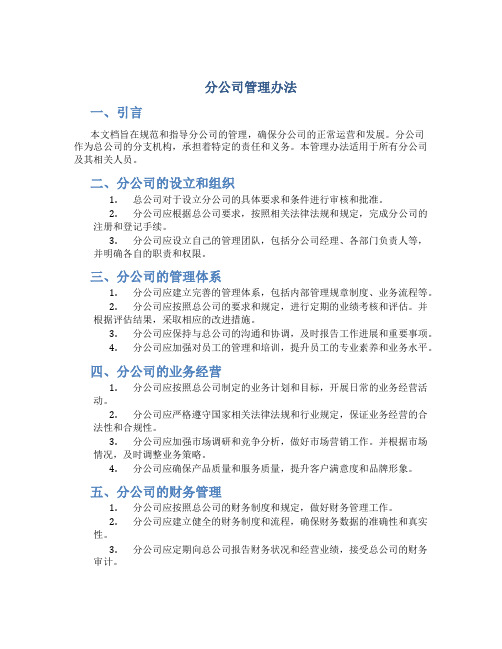 分公司管理办法