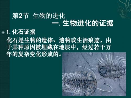 北师大版八年级生物下册《生物的进化》优质课件