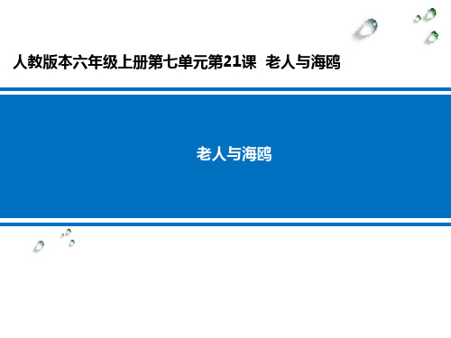 语文-人教版-六年级上老人与海鸥