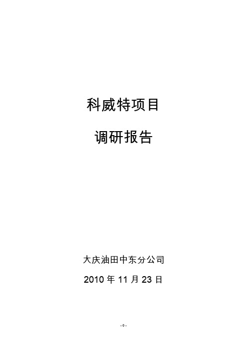 科威特项目调研报告与风险分析