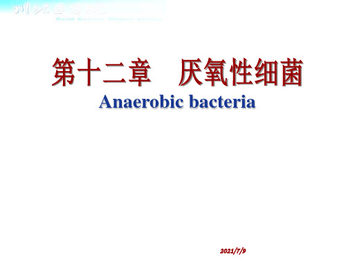 【学习课件】第12章厌氧性细菌