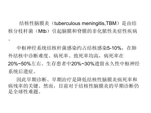 结核性脑膜炎诊断