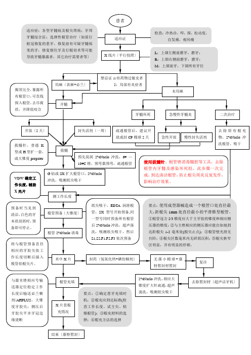 根管治疗操作流程e