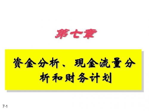 资金分析、现金流量分析和财务计划