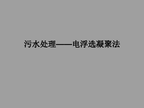 人教版高中化学选修6化学实验实验污水处理----电浮选凝聚法