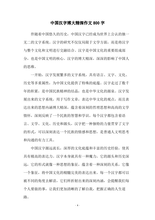 中国汉字博大精深作文800字