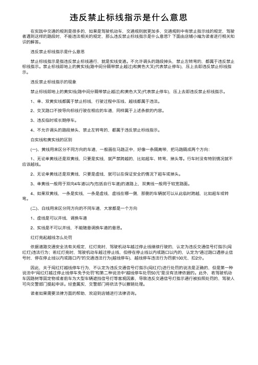 违反禁止标线指示是什么意思