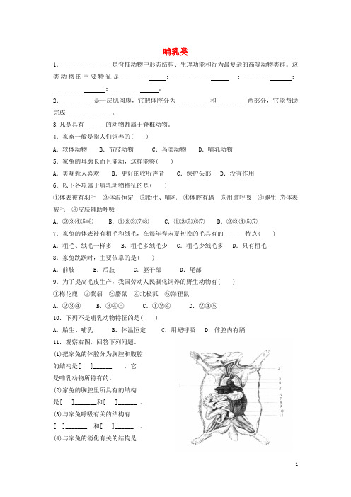 新干县十中七年级生物上册 第一单元 我们身边的生命世界 第四章 多种多样的动物 1.4.9 哺乳类