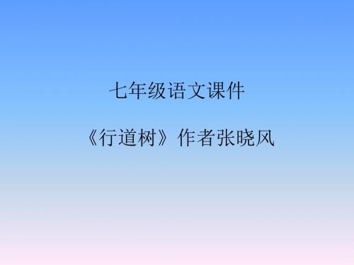 七年级语文(人教版)上册课件：行道树