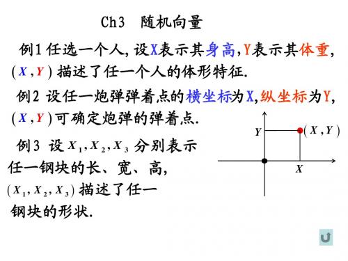 3.1二维随机向量的分布(课件)