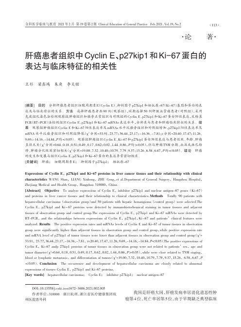 肝癌患者组织中Cyclin E、p27kip1和Ki-67蛋白的表达与临床特征的相关性