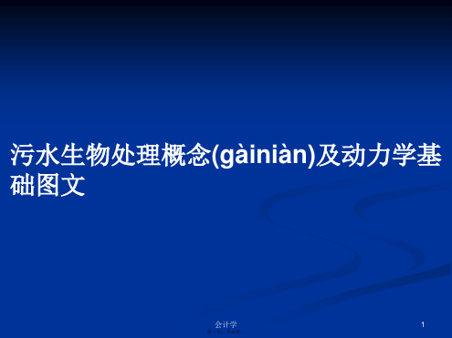 污水生物处理概念及动力学基础图文学习教案