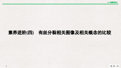 素养进阶(四) 有丝分裂相关图像及相关概念的比较