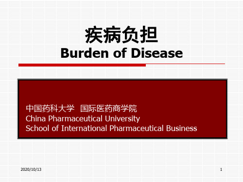 疾病负担PPT