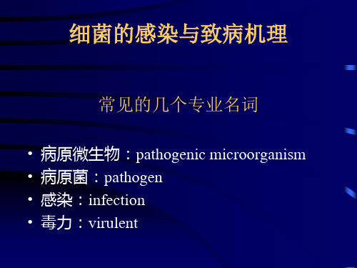 细菌的感染与致病机理