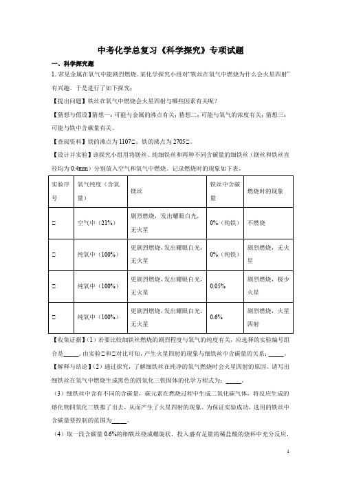 中考化学总复习《科学探究》专项试题含答案