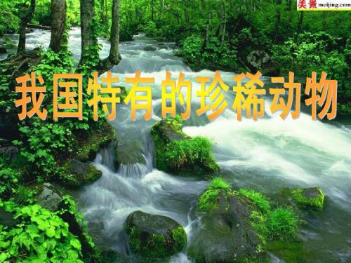 第十节我国特有的珍稀动物