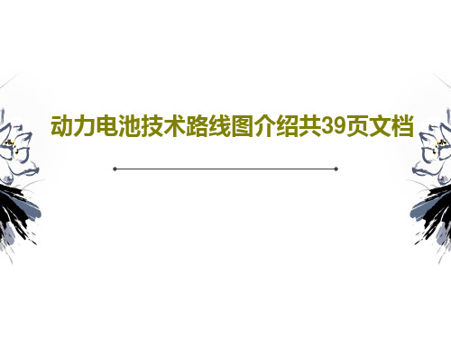 动力电池技术路线图介绍共39页文档共41页文档