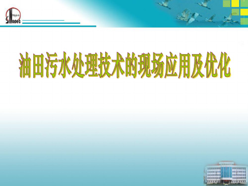 油田污水处理..PPT资料40页