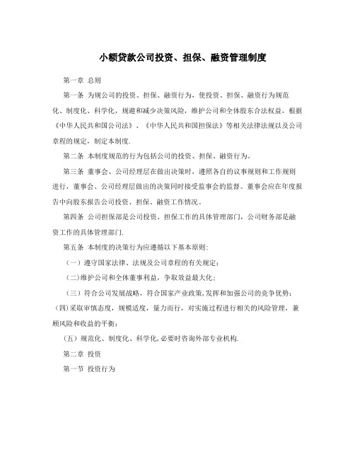 小额贷款公司投资、担保、融资管理制度