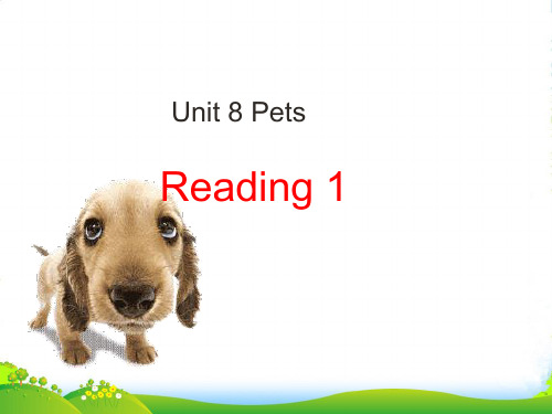 牛津译林版7a unit8 reading (共41张PPT)