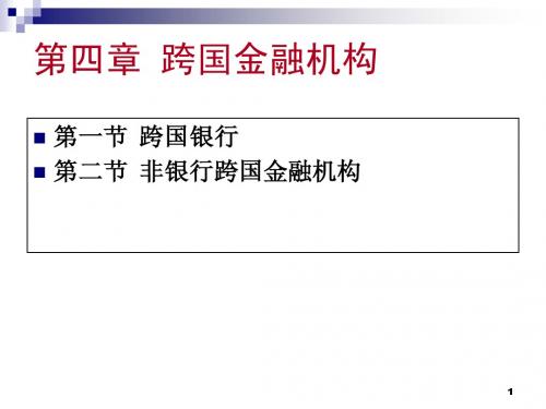 ch04-跨国金融机构