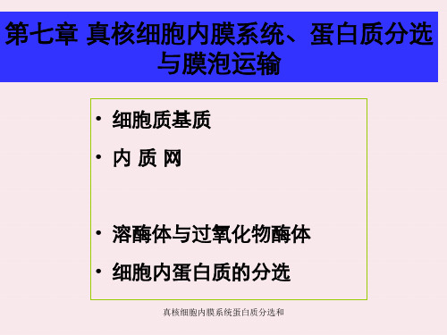 真核细胞内膜系统蛋白质分选和