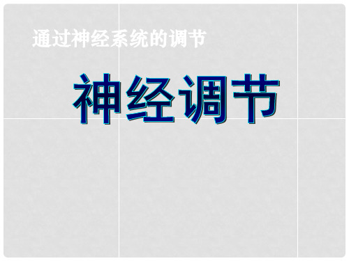 湖南省长郡中学高中生物 第二章 第一节 通过神经系统的调节(一)课件 新人教版必修3
