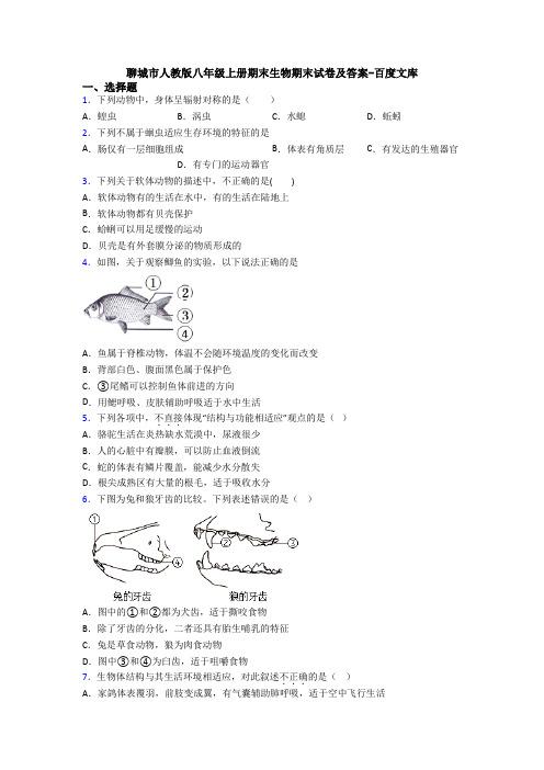 聊城市人教版八年级上册期末生物期末试卷及答案-百度文库