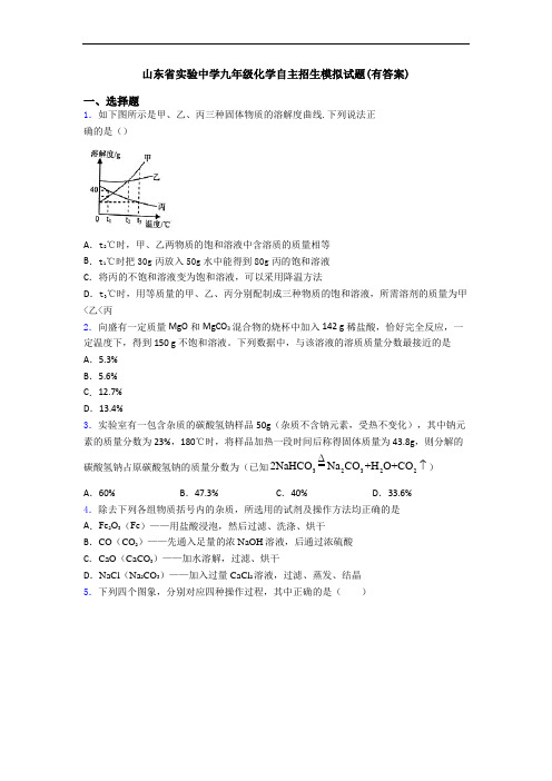 山东省实验中学九年级化学自主招生模拟试题(有答案)