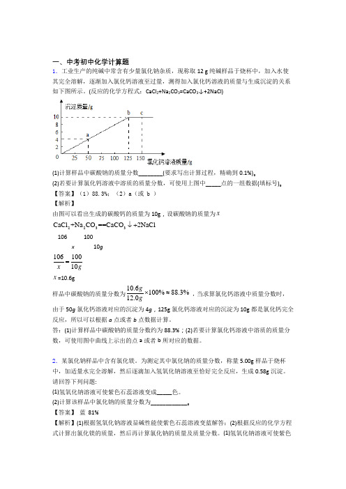 中考化学复习计算题专项易错题含详细答案