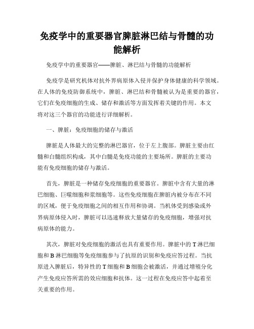 免疫学中的重要器官脾脏淋巴结与骨髓的功能解析