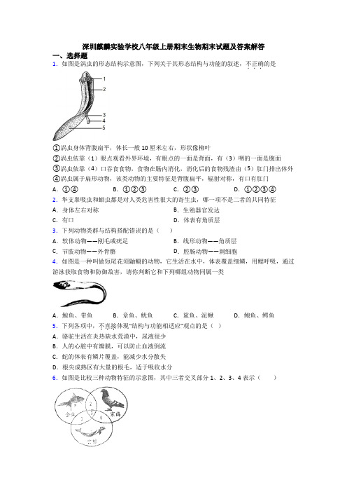 深圳麒麟实验学校八年级上册期末生物期末试题及答案解答