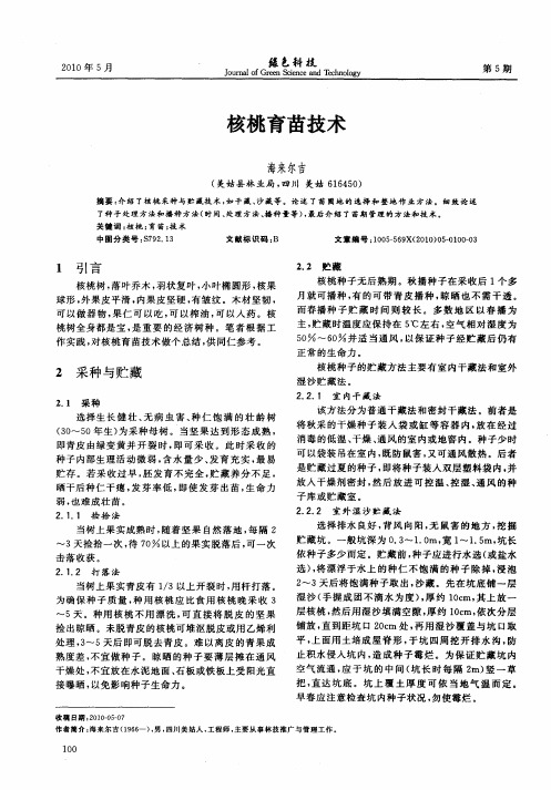 核桃育苗技术